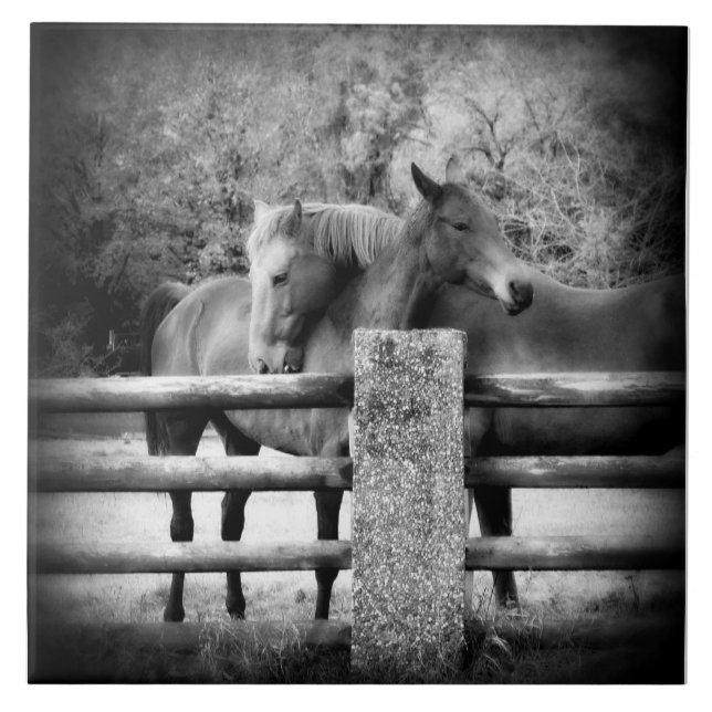 Carreau En Céramique Amour de cheval - paire de chevaux dans l'étreinte (Devant)