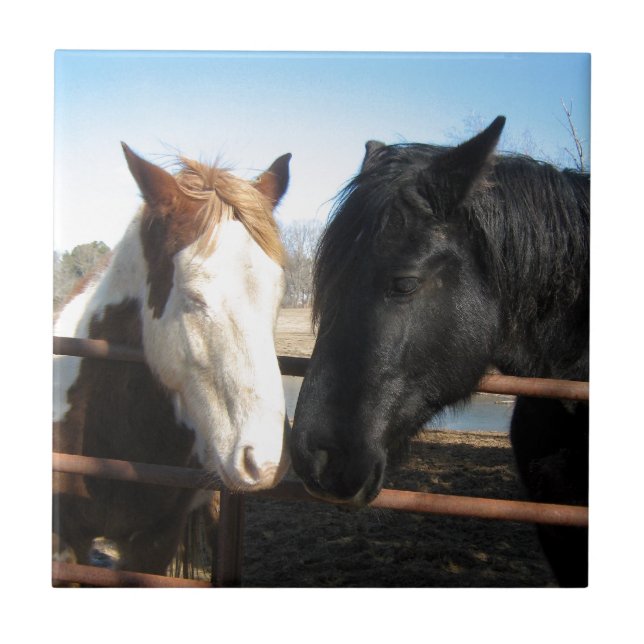 Carreau En Céramique Amoureux (Devant)