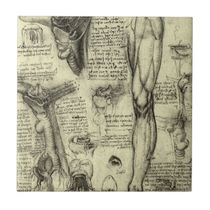 Carreau En Céramique Anatomie humaine vintage du larynx de la jambe de 