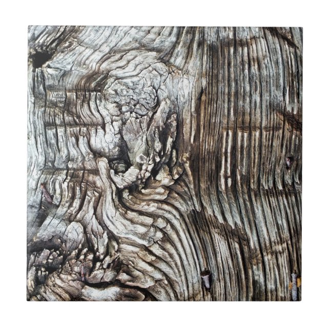 CARREAU EN CÉRAMIQUE ANCIENNE ANGLETERRE (Devant)