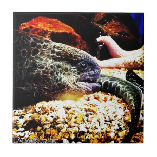 Carreau En Céramique anguille tachetée