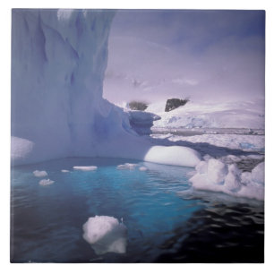 Carreau En Céramique Antarctique. Sévices de l'Antarctique 2