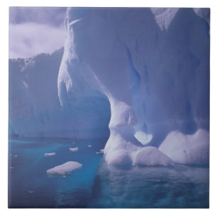 Carreau En Céramique Antarctique. Sévices de l'Antarctique 3
