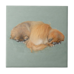 Carreau En Céramique Après-midi endormi