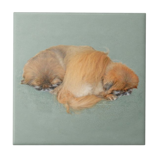 Carreau En Céramique Après-midi endormi (Devant)