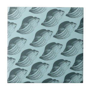 Carreau En Céramique Aqua Turquoise Blue Sea Shells
