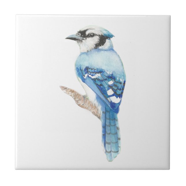 Carreau En Céramique Aquarelle Blue Jay Bird Art (Devant)
