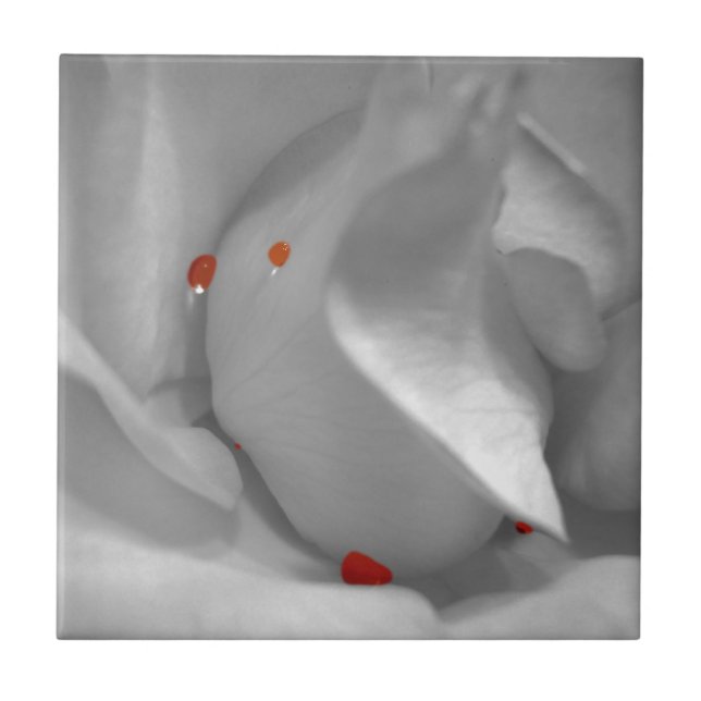 Carreau En Céramique Aquarelle Éolienne Carrelage décoratif (Devant)