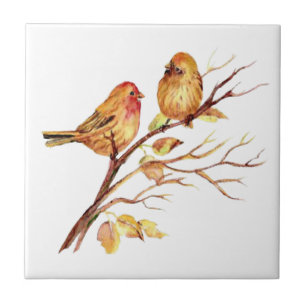 Carreau En Céramique Aquarelle Finch Birds dans la branche de l'arbre