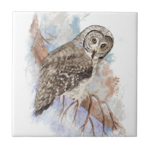 Carreau En Céramique Aquarelle Grande Chouette gris Art Oiseau