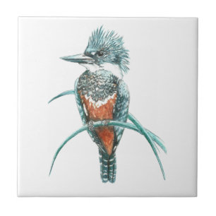 Carreau En Céramique Aquarelle Kingfisher Oiseau Art de la faune