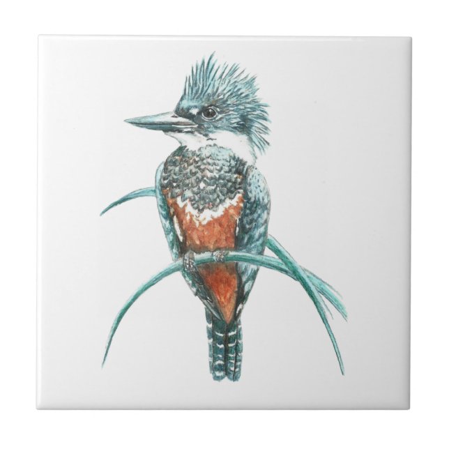 Carreau En Céramique Aquarelle Kingfisher Oiseau Art de la faune (Devant)
