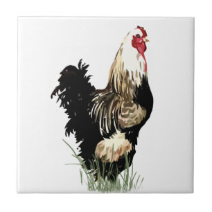 Carreau En Céramique Aquarelle Noir et Blanc Rooster Bird Poulet