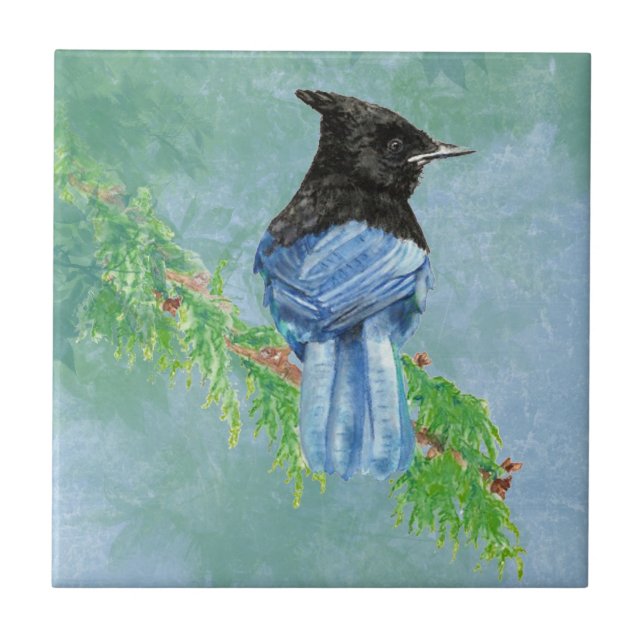 Carreau En Céramique Aquarelle Stellar Jay Oiseau Art de la faune (Devant)
