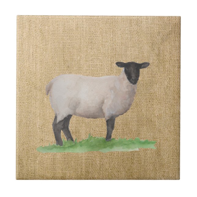 Carreau En Céramique Aquarelle Suffolk Sheep (Devant)