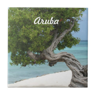 Carreau En Céramique Arbre de Divi Divi dans Aruba
