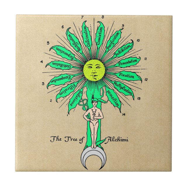 Carreau En Céramique Arbre de Hermes de l'alchimie (Devant)