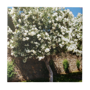 Carreau En Céramique Arbre de jasmin