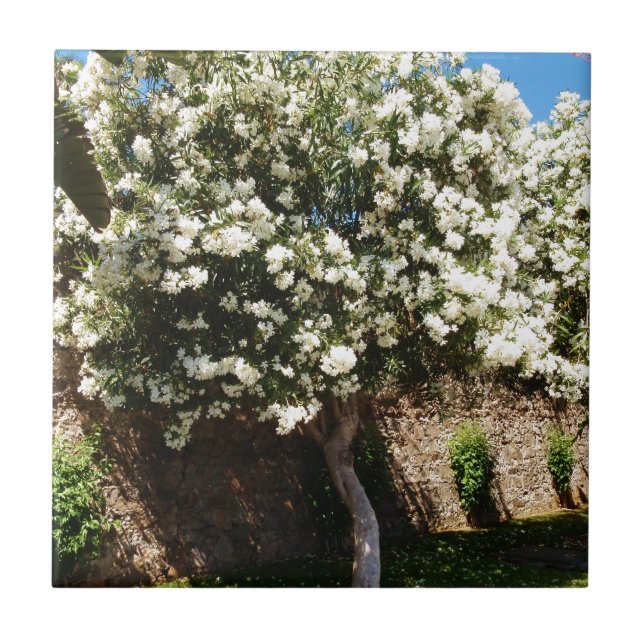 Carreau En Céramique Arbre de jasmin (Devant)