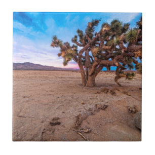 Carreau En Céramique Arbre de Joshua de Mojave
