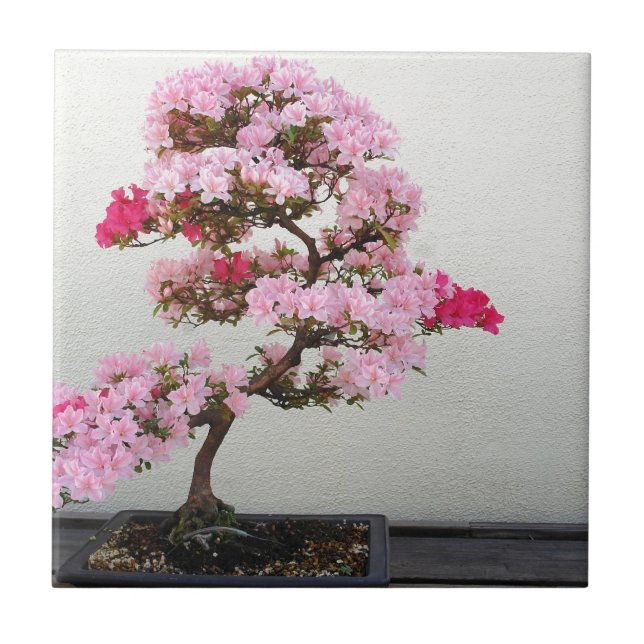 Carreau En Céramique Arbre rose bonsaï (Devant)