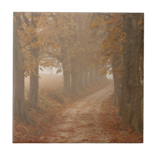 Carreau En Céramique Arbres d'automne