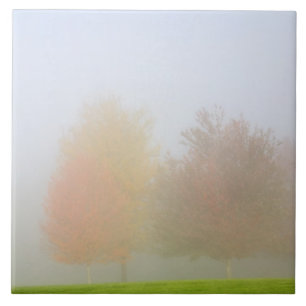 Carreau En Céramique Arbres de chute enveloppés en brume