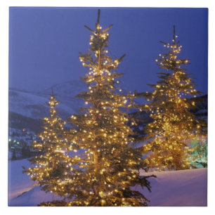 Carreau En Céramique Arbres de Noël, Park City, Wastch Mountains, 2