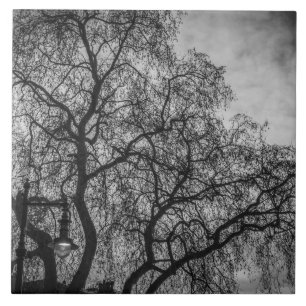 Carreau En Céramique Arbres en céramique noire et blanche