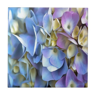 Carreau En Céramique Arbuste bleu Hydrangea Arbuste Artistique Bossom