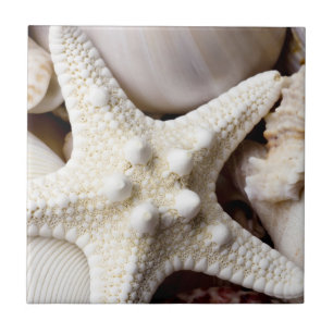 Carreau En Céramique Arrière - plan d'étoiles de mer de Shell de mer -