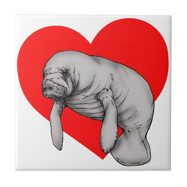 Carreau En Céramique art de lamantin (Devant)