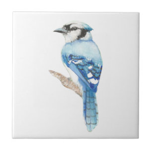 Carreau En Céramique Art d'oiseau de geai bleu d'aquarelle