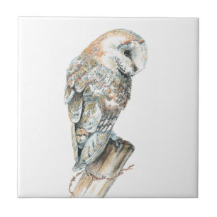 Carreau En Céramique Art d'oiseau de hibou de grange d'aquarelle