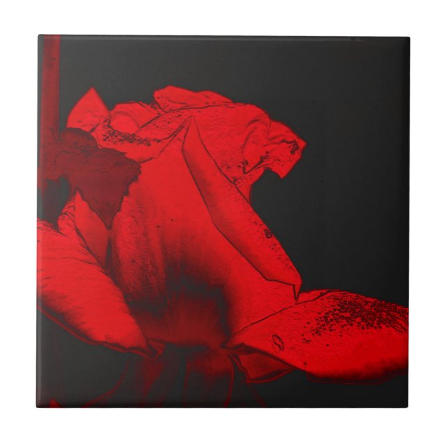 Carreau En Céramique Art Floral Rouge Hot Rosebud (Devant)