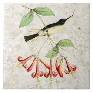 Carreau En Céramique Art vintage de nature de colibri féerique pourpre