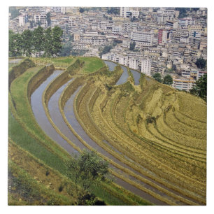 Carreau En Céramique Asie, Chine, province du Yunnan, Jinping. Jinping