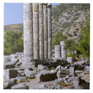 Carreau En Céramique Asie, Moyen-Orient, Turquie, Éphèse. Temple de