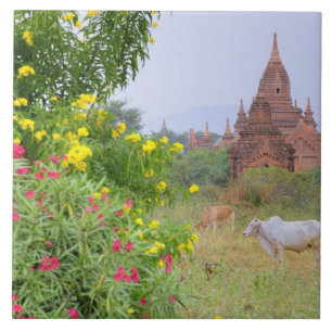 Carreau En Céramique Asie, Myanmar (Birmanie), Bagan (païen). Vaches