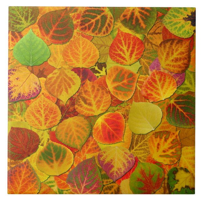Carreau En Céramique Aspen laisse à collage le mélange solide 1 (Devant)