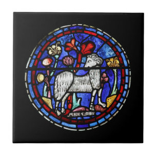 Carreau En Céramique Astrologie Aries Tissu en verre céramique