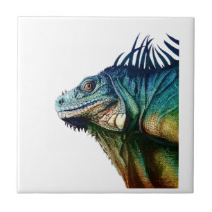 CARREAU EN CÉRAMIQUE ATTRAPÉ EN QUELQUES MOMENTS