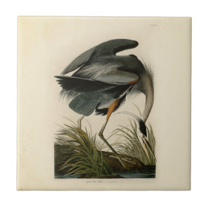 Carreau En Céramique Audubon Great Blue Heron Marsh Bird