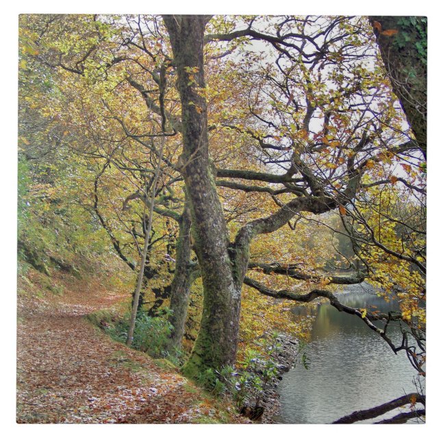 CARREAU EN CÉRAMIQUE AUTOMNE PAR LE LAC (Devant)