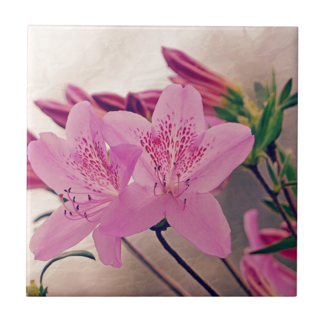 Carreau En Céramique Azaleas (Devant)