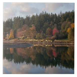 Carreau En Céramique Baie de Fletcher