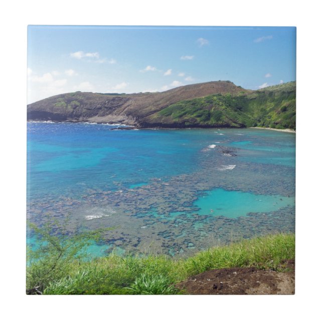 Carreau En Céramique Baie Oahu Hawaï de Hanauma (Devant)
