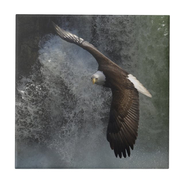 Carreau En Céramique Bald Eagle Raptor Wildlife Waterfall Tile (Devant)