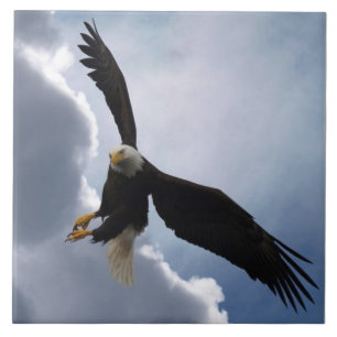 Carreau En Céramique Bald Eagle Wildlife Photo Carrelage cadeau ou Triv