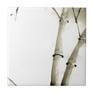 Carreau En Céramique Bambou et feuille